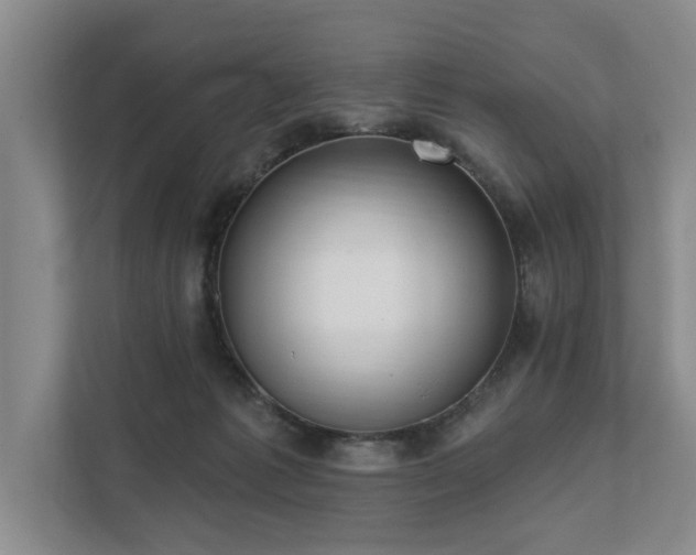 X0000111510221200907211210