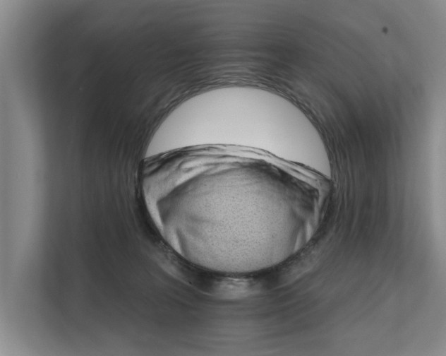 X0000111510227200907211210