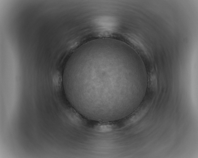 X0000111510228200907211210
