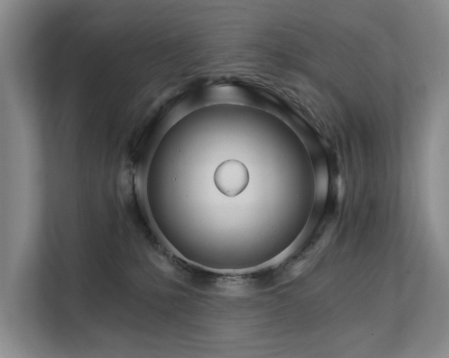 X0000111510231200907211210