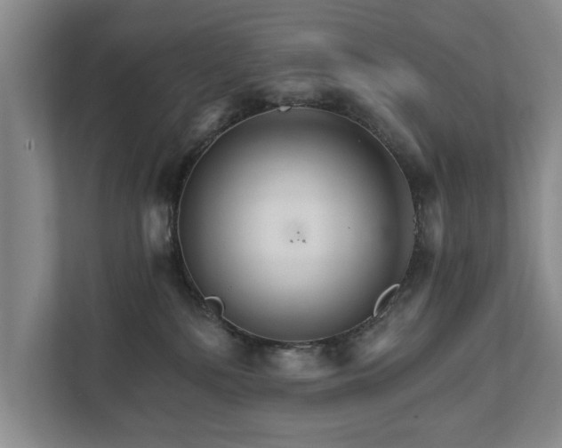 X0000111510232200907211210