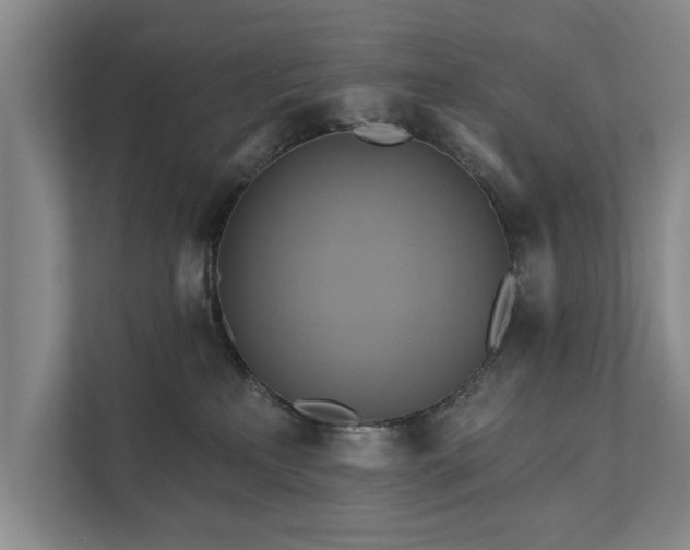 X0000111510233200907211210