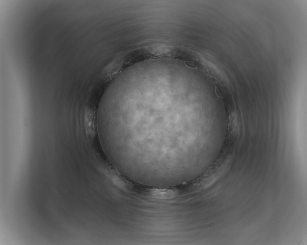 X0000111510234200907211210