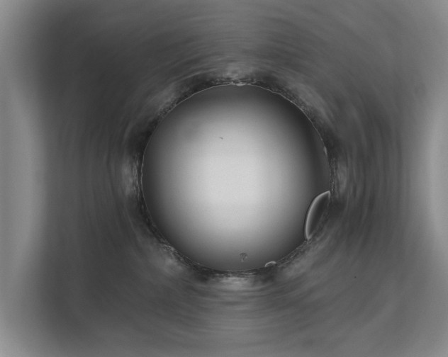 X0000111510236200907211210