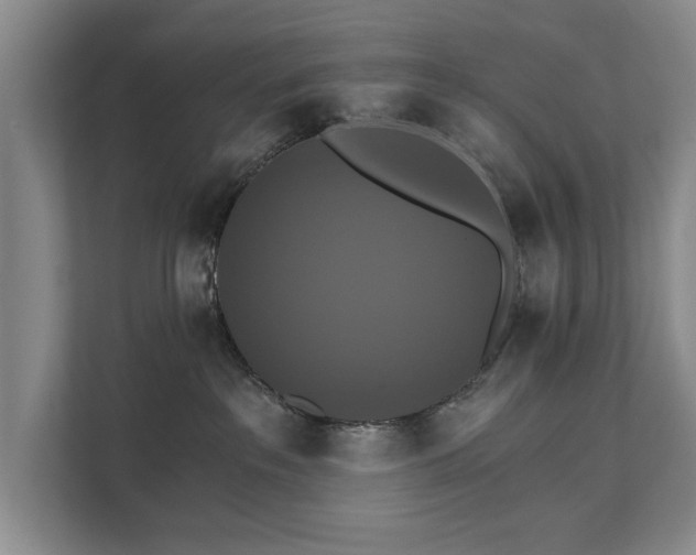 X0000111510237200907211210