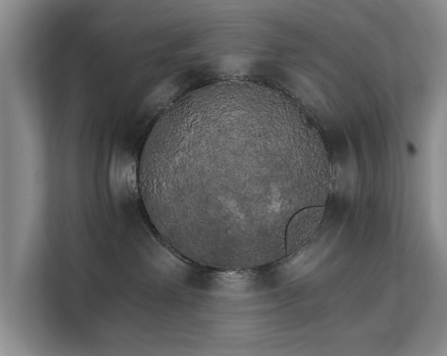 X0000111510238200907211210