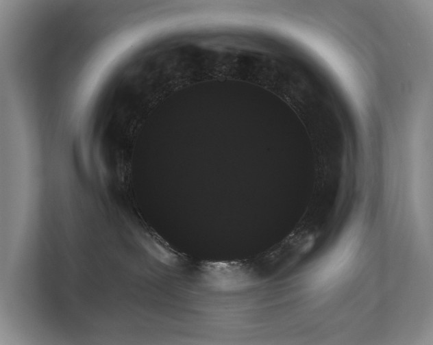X0000111510239200907211210