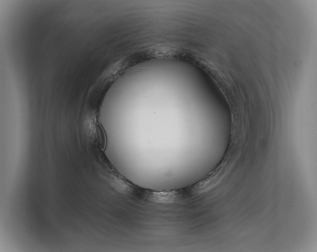 X0000111510240200907211210
