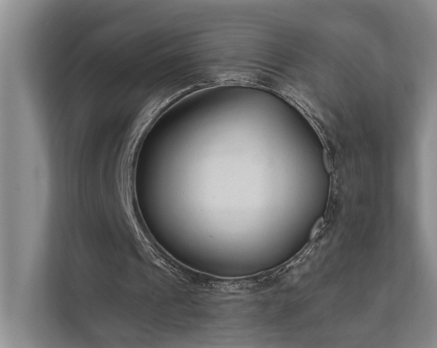 X0000111510241200907211209