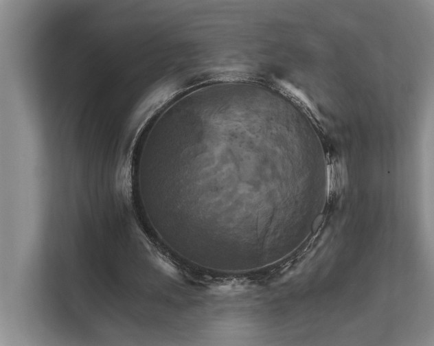 X0000111510243200907211209