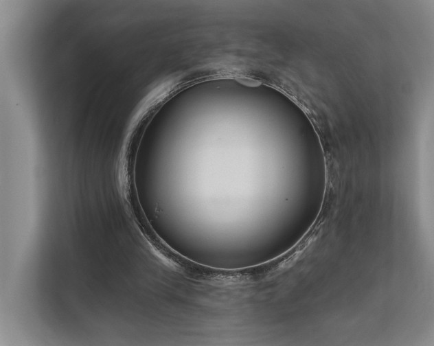 X0000111510245200907211209