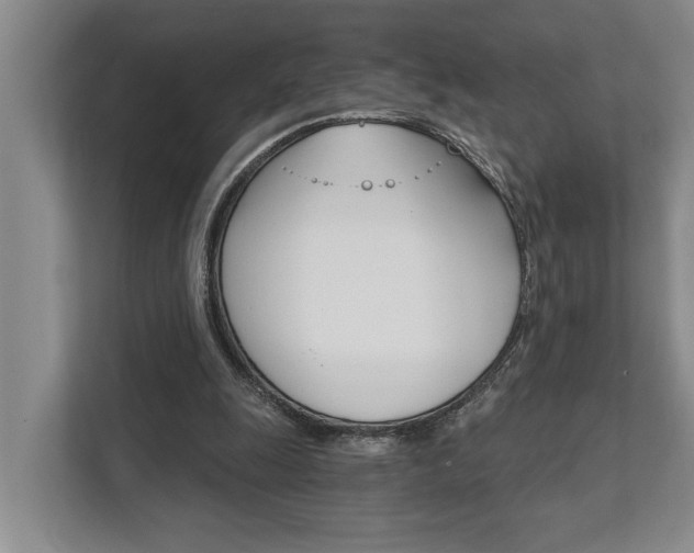 X0000111510247200907211209