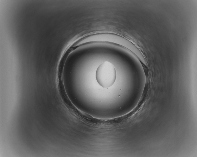 X0000111510248200907211209
