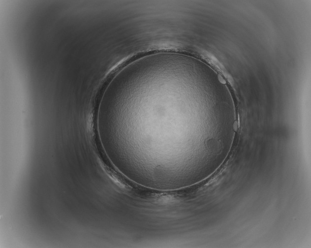 X0000111510249200907211209
