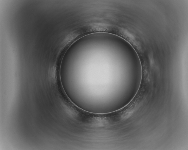 X0000111510250200907211209