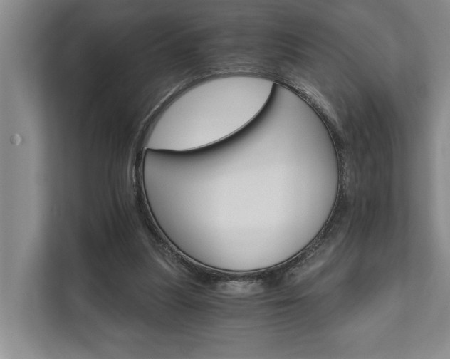 X0000111510251200907211209