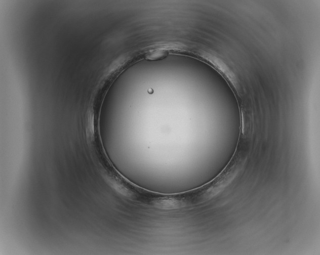 X0000111510253200907211209
