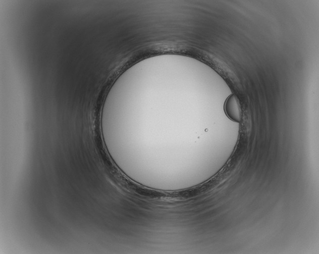 X0000111510255200907211209