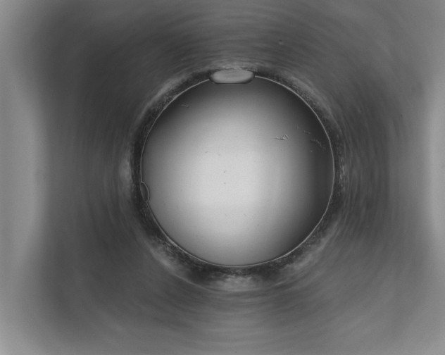 X0000111510256200907211209
