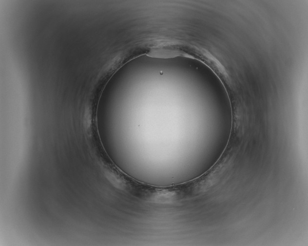 X0000111510257200907211209