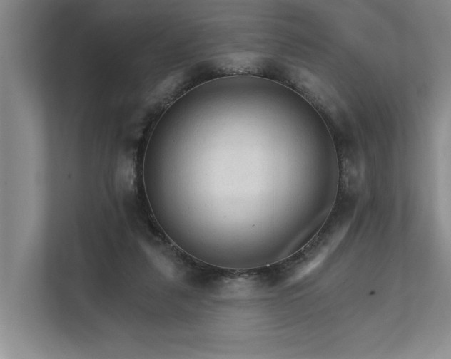 X0000111510259200907211209