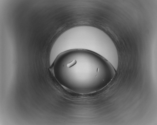 X0000111510260200907211209
