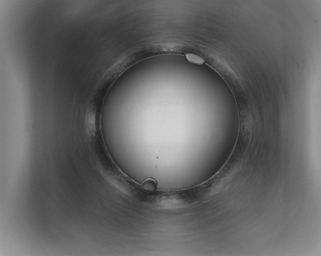 X0000111510262200907211209