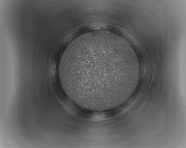 X0000111510263200907211209