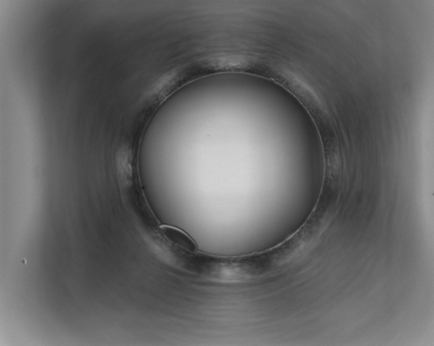 X0000111510264200907211209