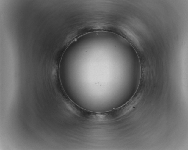 X0000111510265200907211209