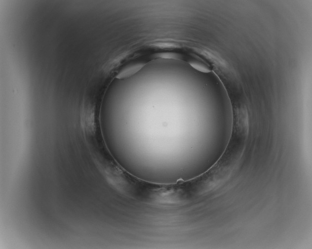 X0000111510267200907211209