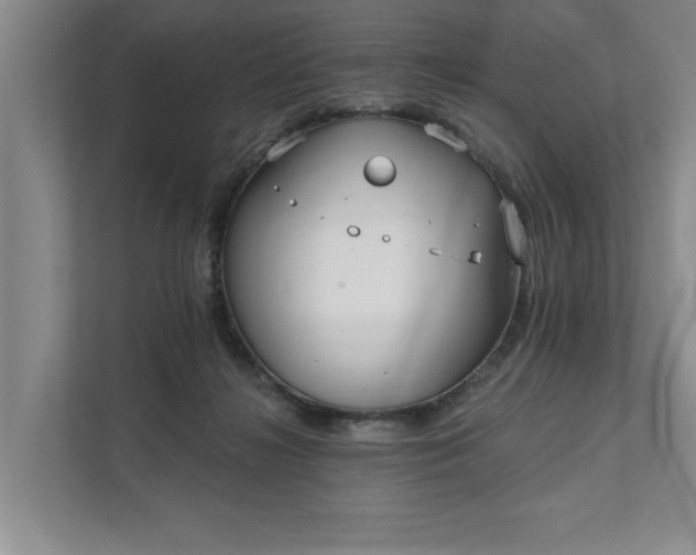 X0000111510268200907211209