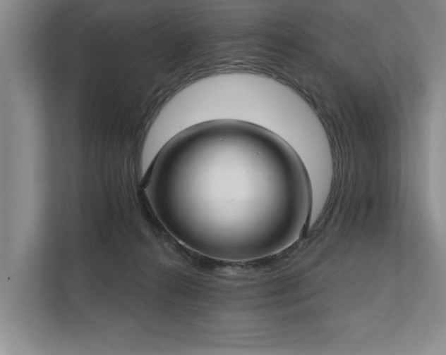 X0000111510272200907211210