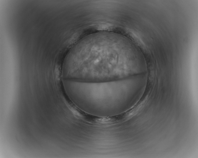 X0000111510273200907211210