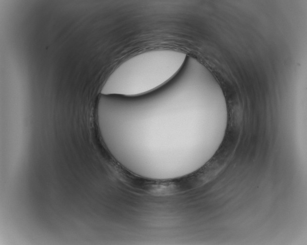 X0000111510274200907211210