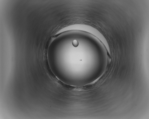 X0000111510280200907211210