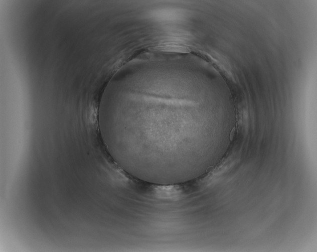 X0000111510281200907211210
