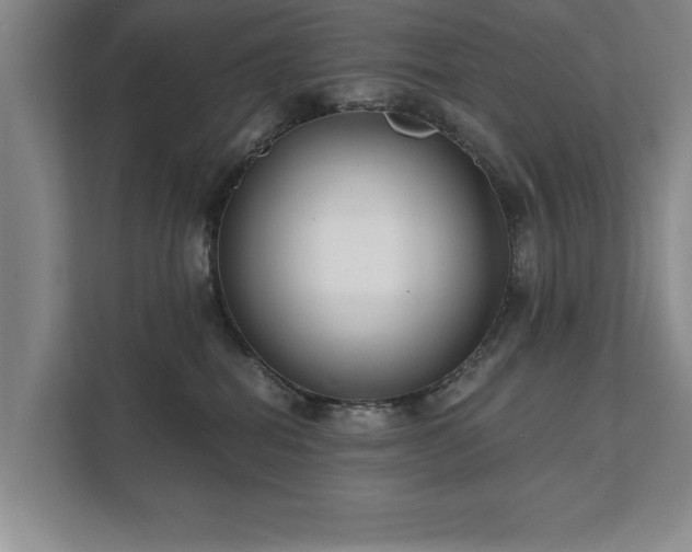 X0000111510282200907211210