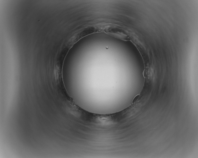 X0000111510283200907211210