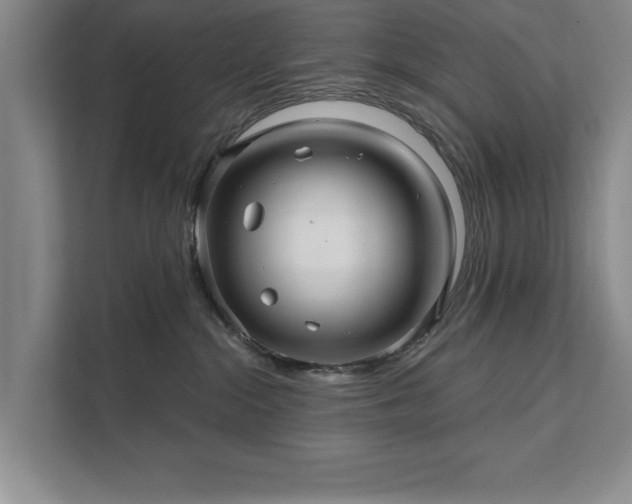 X0000111510284200907211210