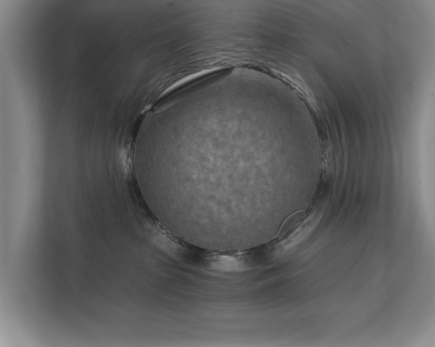 X0000111510285200907211210