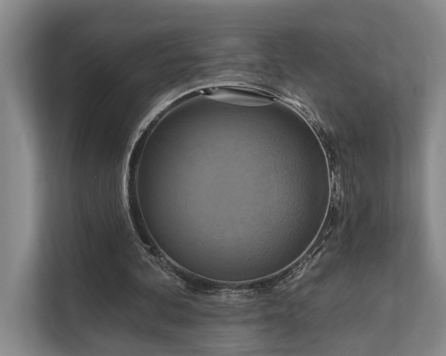 X0000111510292200907211209
