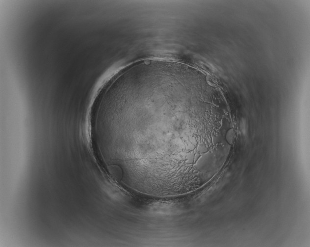 X0000111510294200907211209
