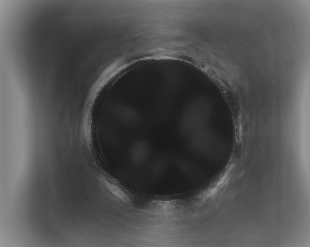 X0000111510295200907211209