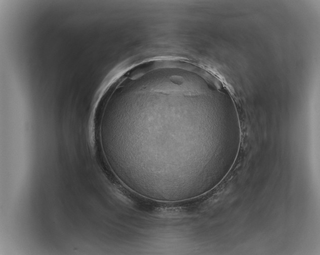 X0000111510296200907211209