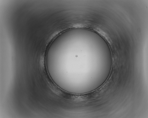 X0000111510297200907211209