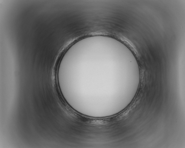 X0000111510298200907211209