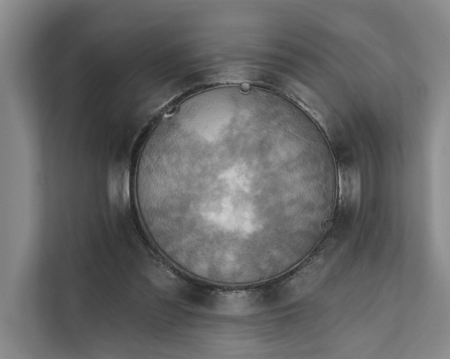 X0000111510301200907211209
