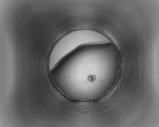 X0000111510305200907211209