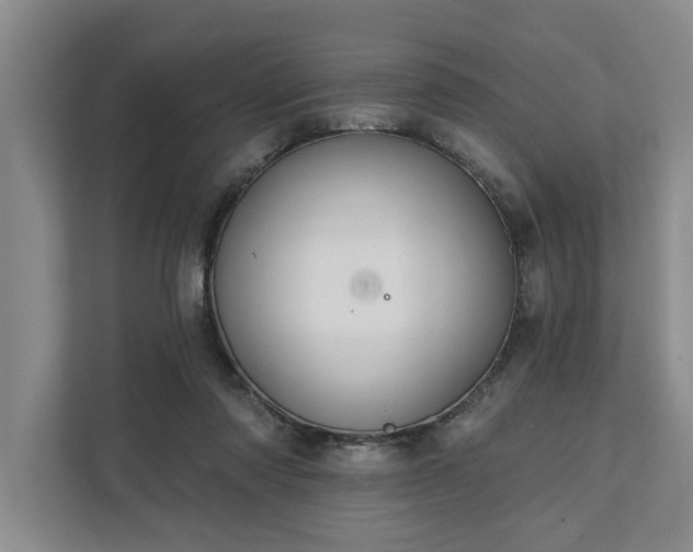 X0000111510310200907211209